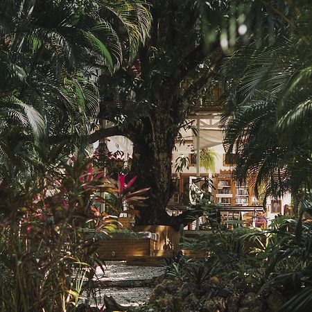 Playa Santa Teresa  Griss Lodge & Spa מראה חיצוני תמונה